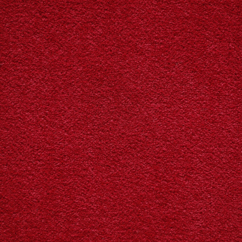 ALFOMBRA FESTIVAL