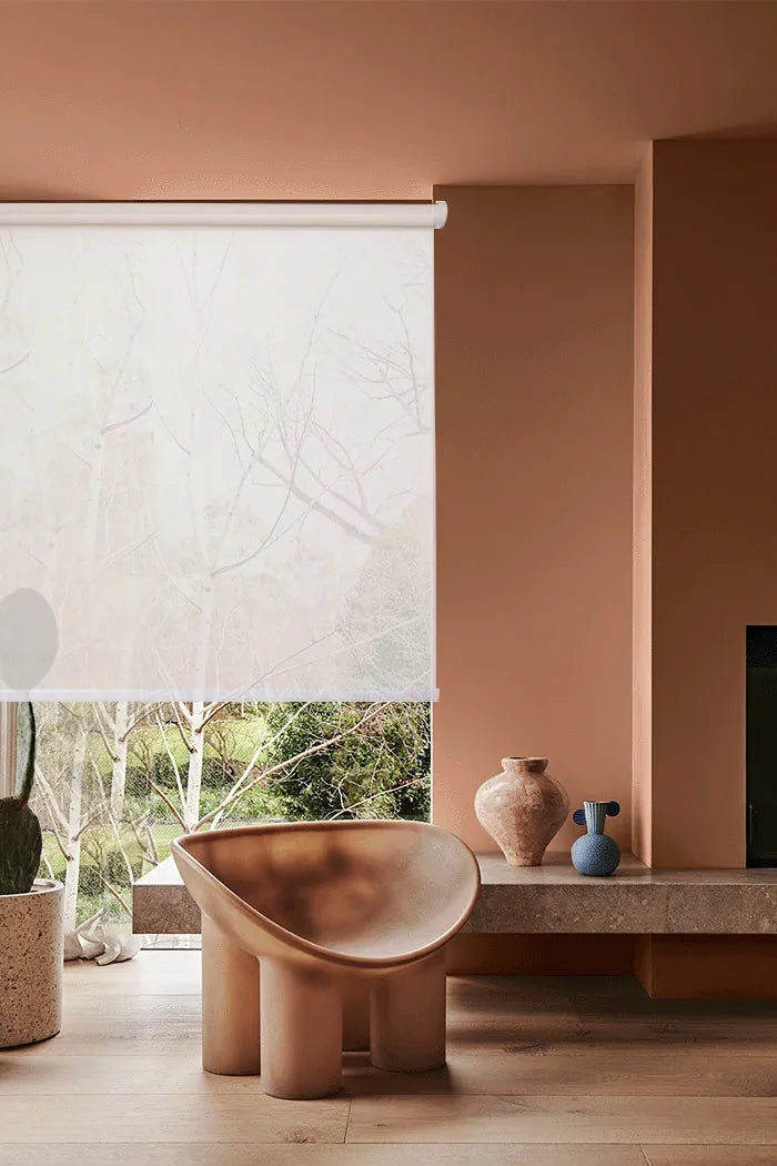 Cortinas Roller